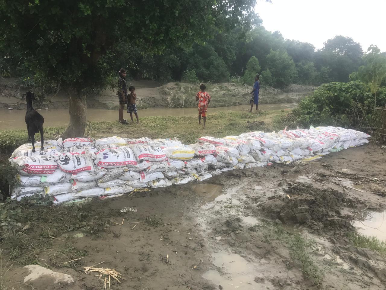 केशलियाको कटान रोक्न महानगरको सक्रियता