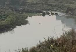 उद्योगबाट निस्किएको प्रदूषित पानीले रामग्राम र पाल्हीनन्दन दुर्गन्धित