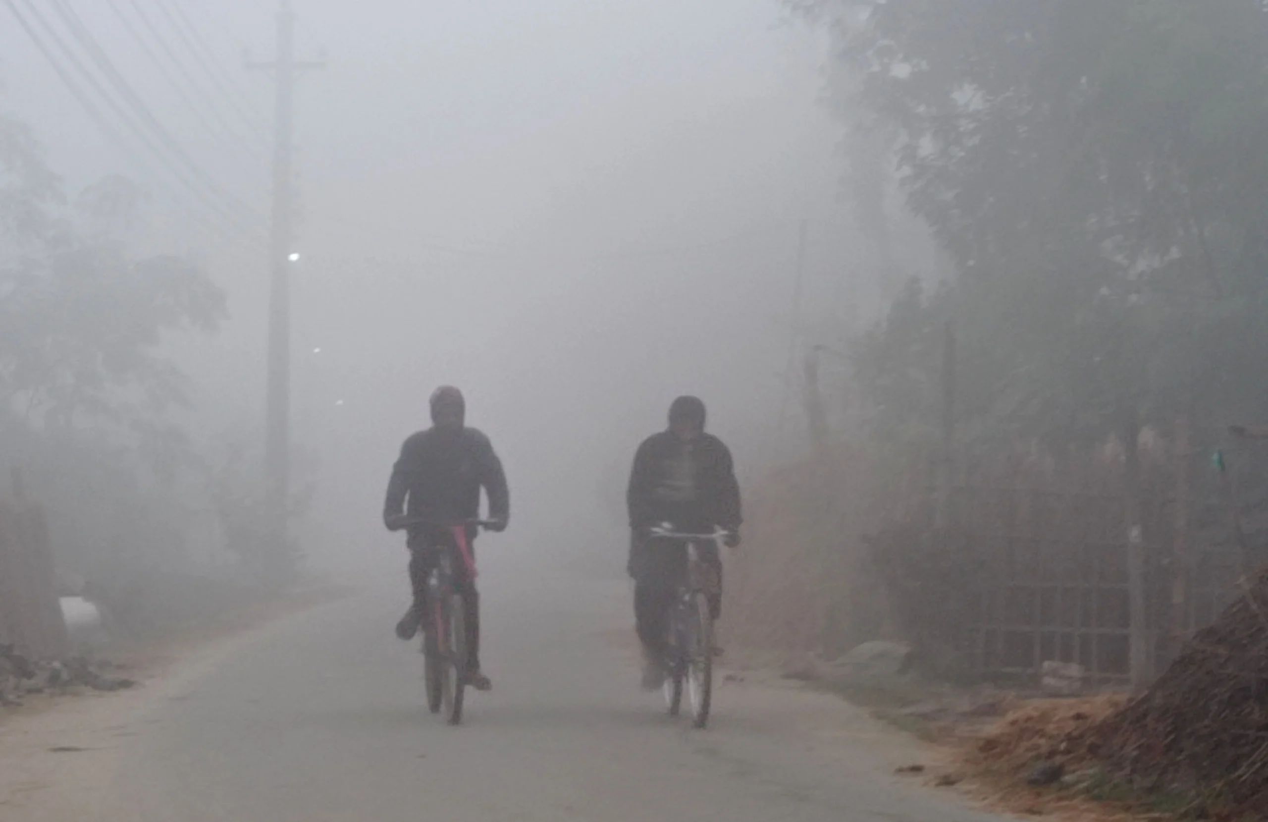 शीतलहरले तराईमा जनजीवन प्रभावित