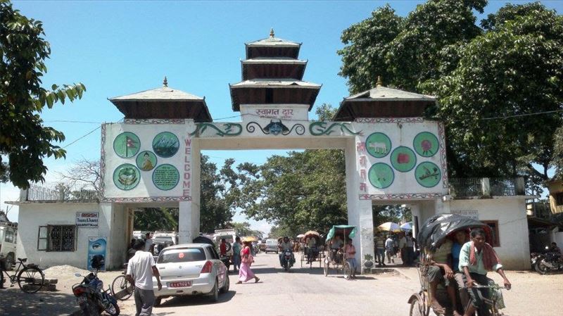 उडिसाबाट काँकरभिट्टा  हुँदै २० जना विद्यार्थी फर्किए